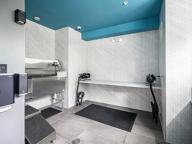 The Belhaven Apartments — Photo 36