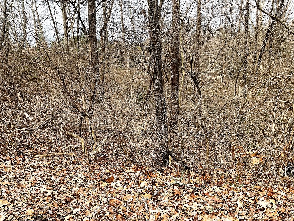 2nd image of N/a Sherwood Dr