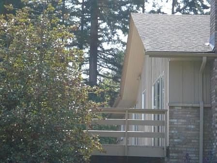 View Deck - Freshly Painted