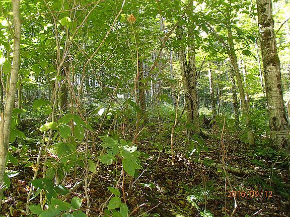 4th image of 0 Triplett Hill Way