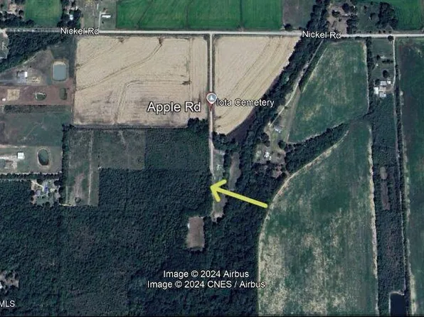 Apple Rd, Iota, LA 70543