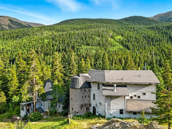 1493 Silver Valley Road, Silver Plume, CO 80476