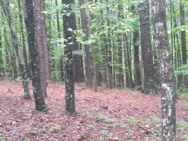 2nd image of Camden Ln