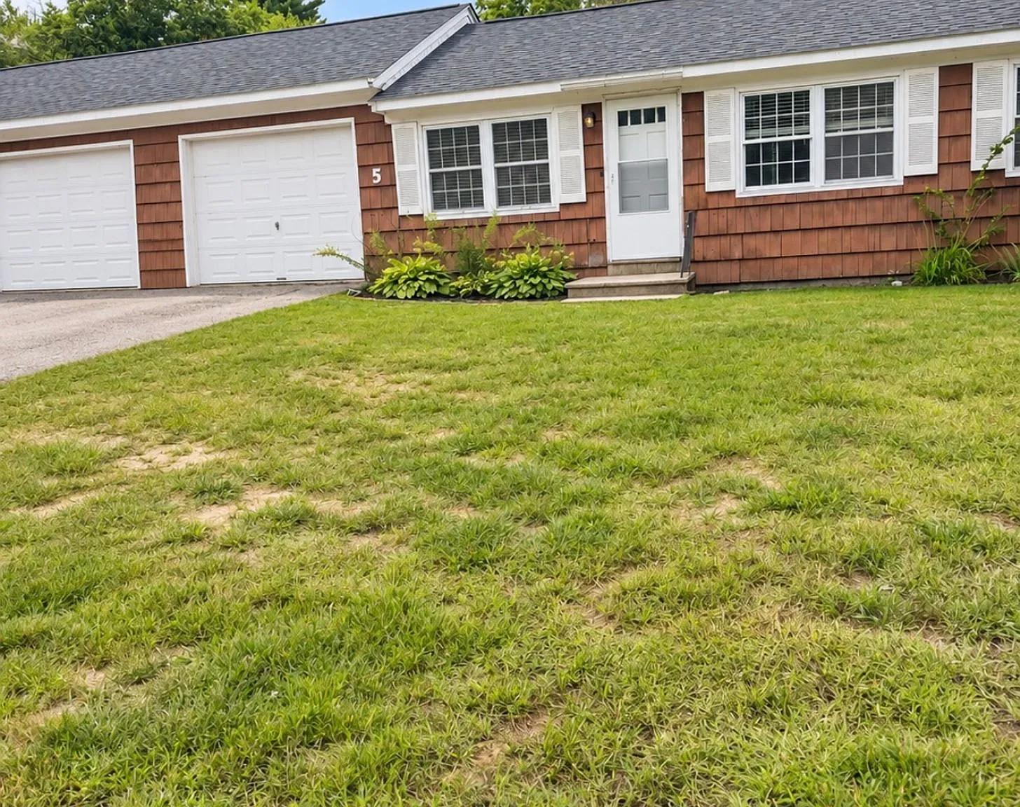 Spacious 2BR Apartments in Epsom | Garage, Basement & Large Yard — Photo 2