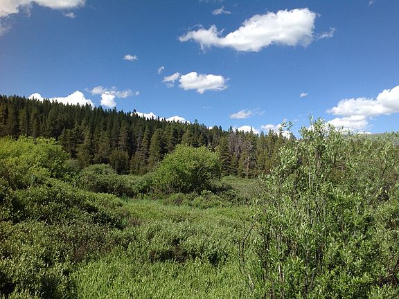 2nd image of 297 County Road 19