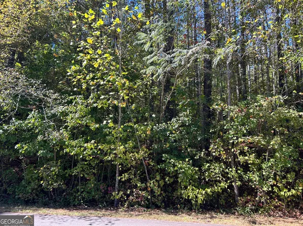 3598 Velma Dr, Powder Springs, GA 30127