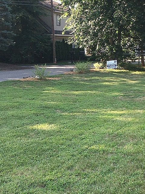 Front yard