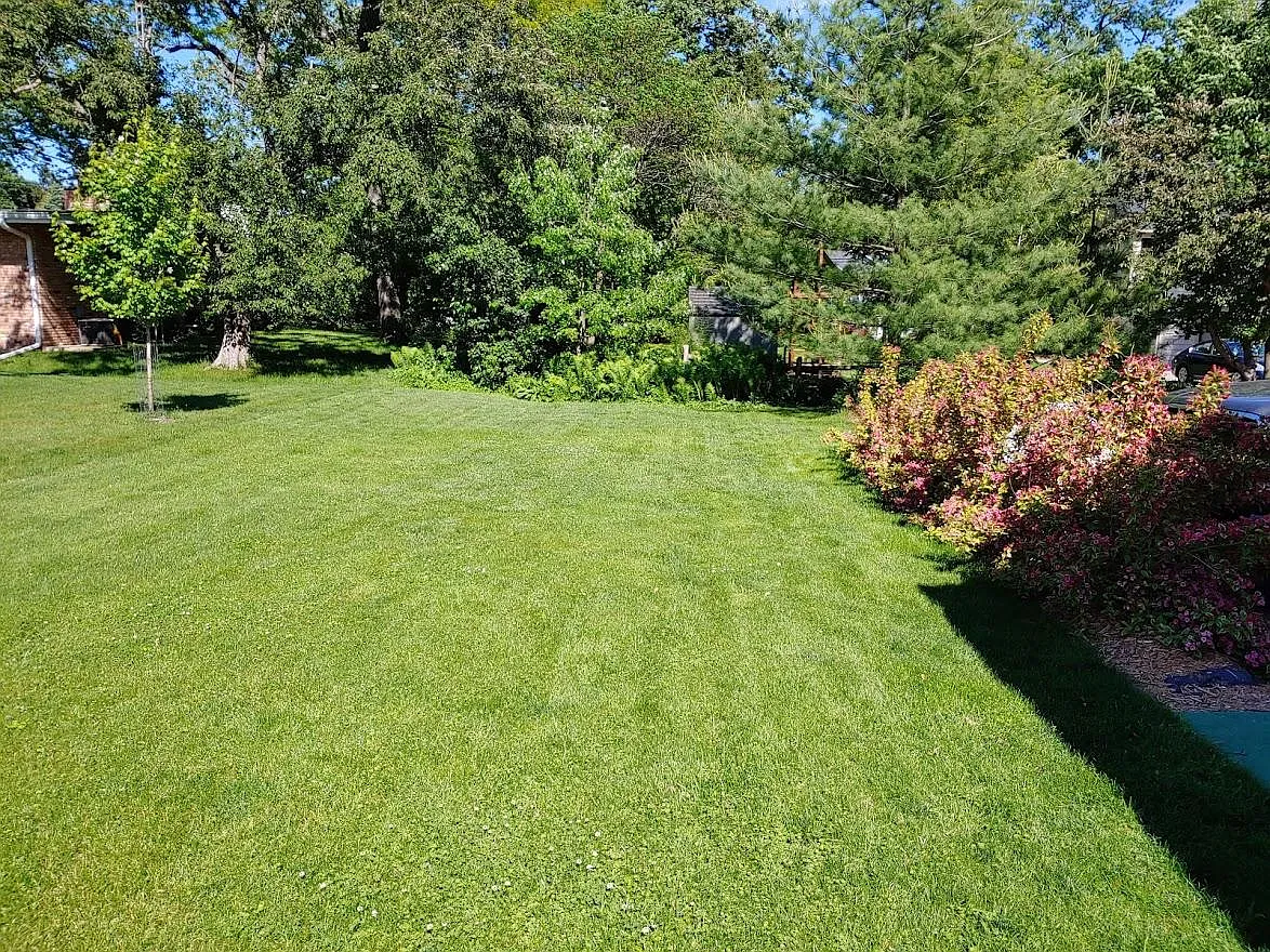 3 bed, 1710 sqft, $2,600 — Photo 4