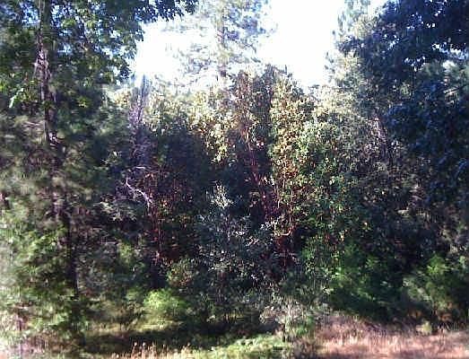 5th image of 23380 Valley View Dr