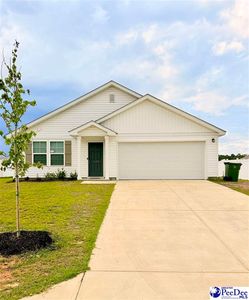 1108 Rushmore Loop, Florence, SC, 29506
