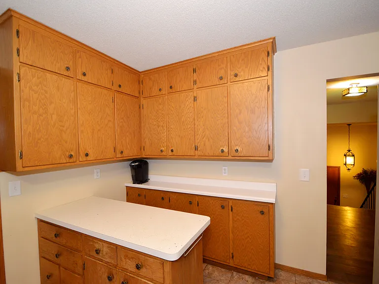 Kitchen cabinets.