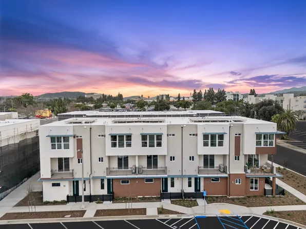 Plan A Plan, Persimmon