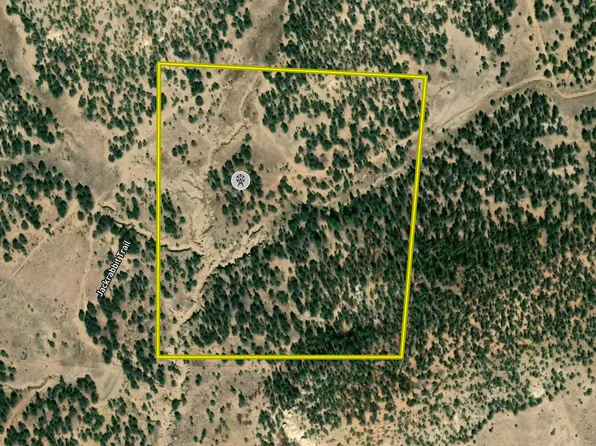 Jackrabbit Trl, Pinehill, NM 87357