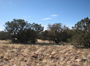 LOT 507 Chevelon Canyon Dr UNIT 3-507, Heber, AZ 85928
