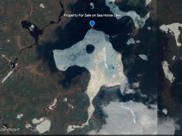 Asls 92 55 No Rd, Gakona, AK 99586