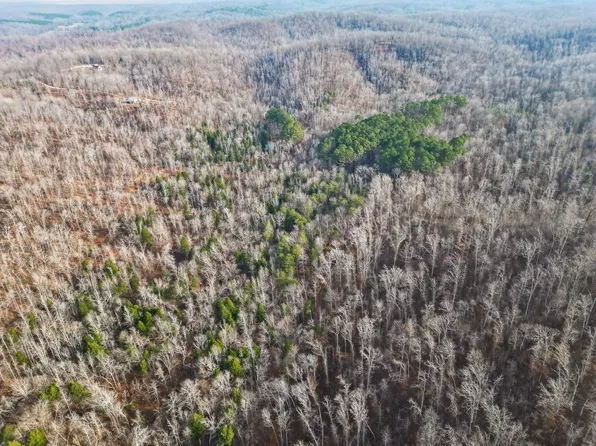 LOT 59 Rustic Valley Dr, Waverly, TN 37185