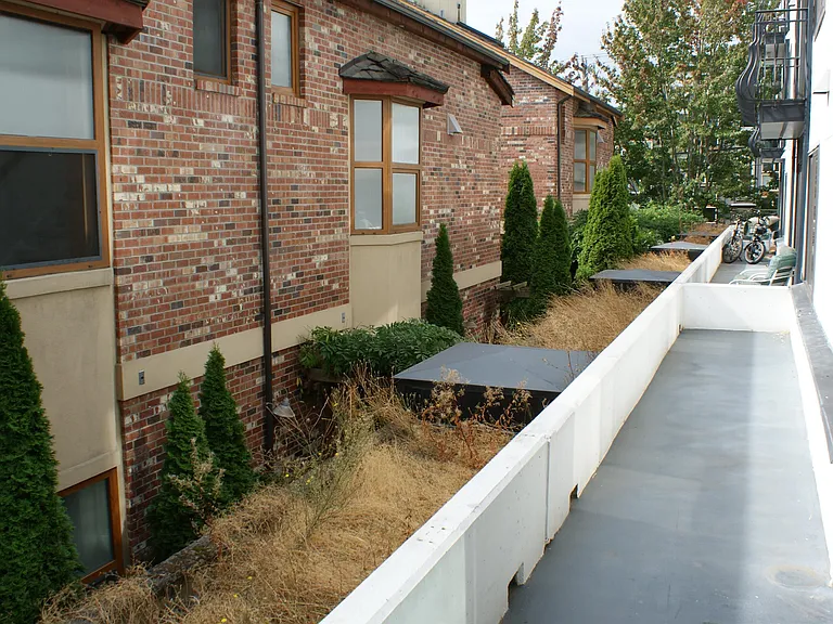 155 Aloha St #101 — Photo 17