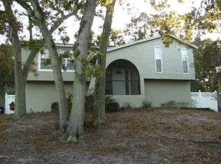 1206 Castleworks Ln, Tarpon Springs, FL 34689