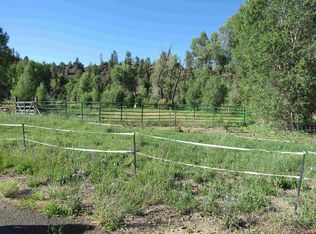 X Caballo Pl, Pagosa Springs, CO 81147
