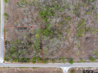 1 Tatum Rd, Martindale, TX 78655