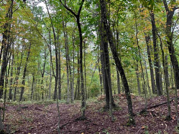 3 Deckers Trail Rd, Masontown, WV 26542
