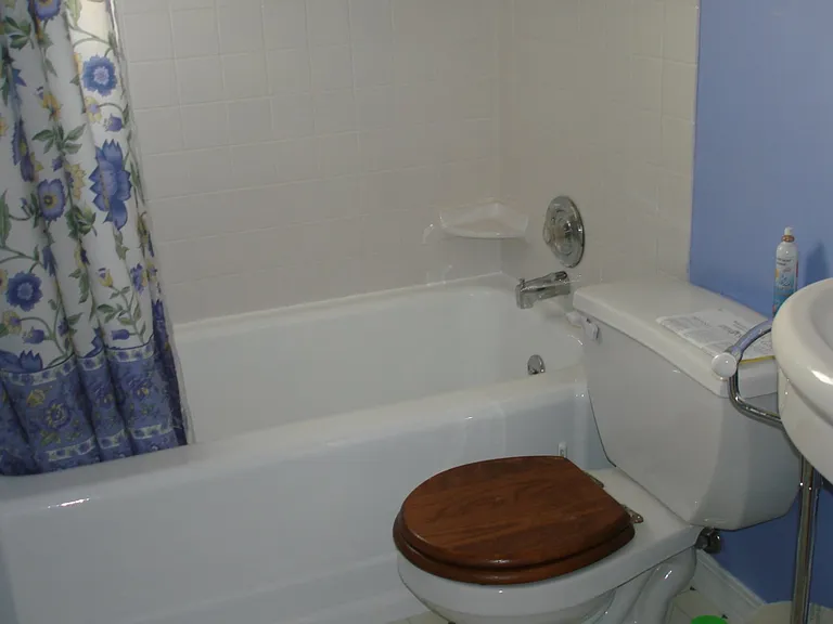 Bathtub with Shower