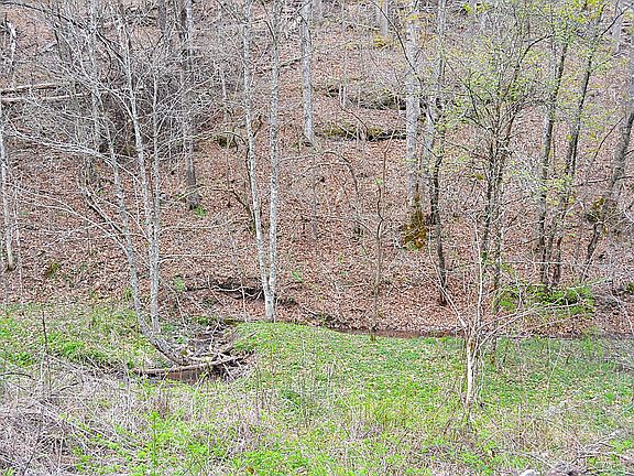 5th image of Snake Run Rd