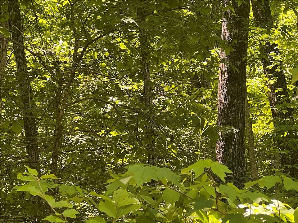 1st image of Terrapin Rd