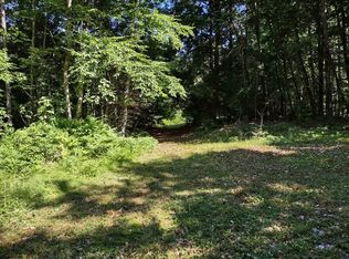 55 Mine Rd #17-1-1, Winchester, NH 03470