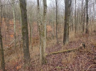Beech Tree Rd LOT 31, West Valley, NY 14171