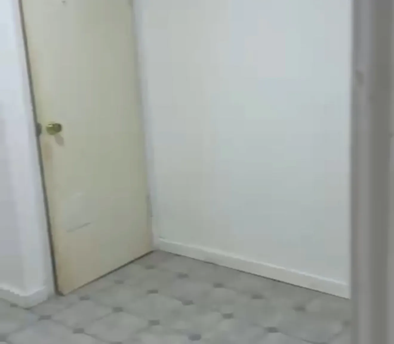 3 bed, $2,300 — Photo 3