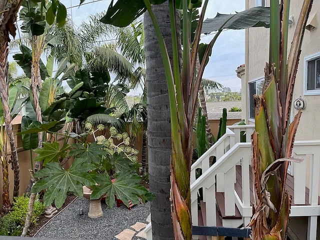 158 Jupiter St — Photo 24