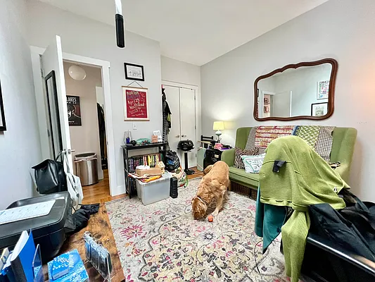 Rented by ERNY LLC | media 43