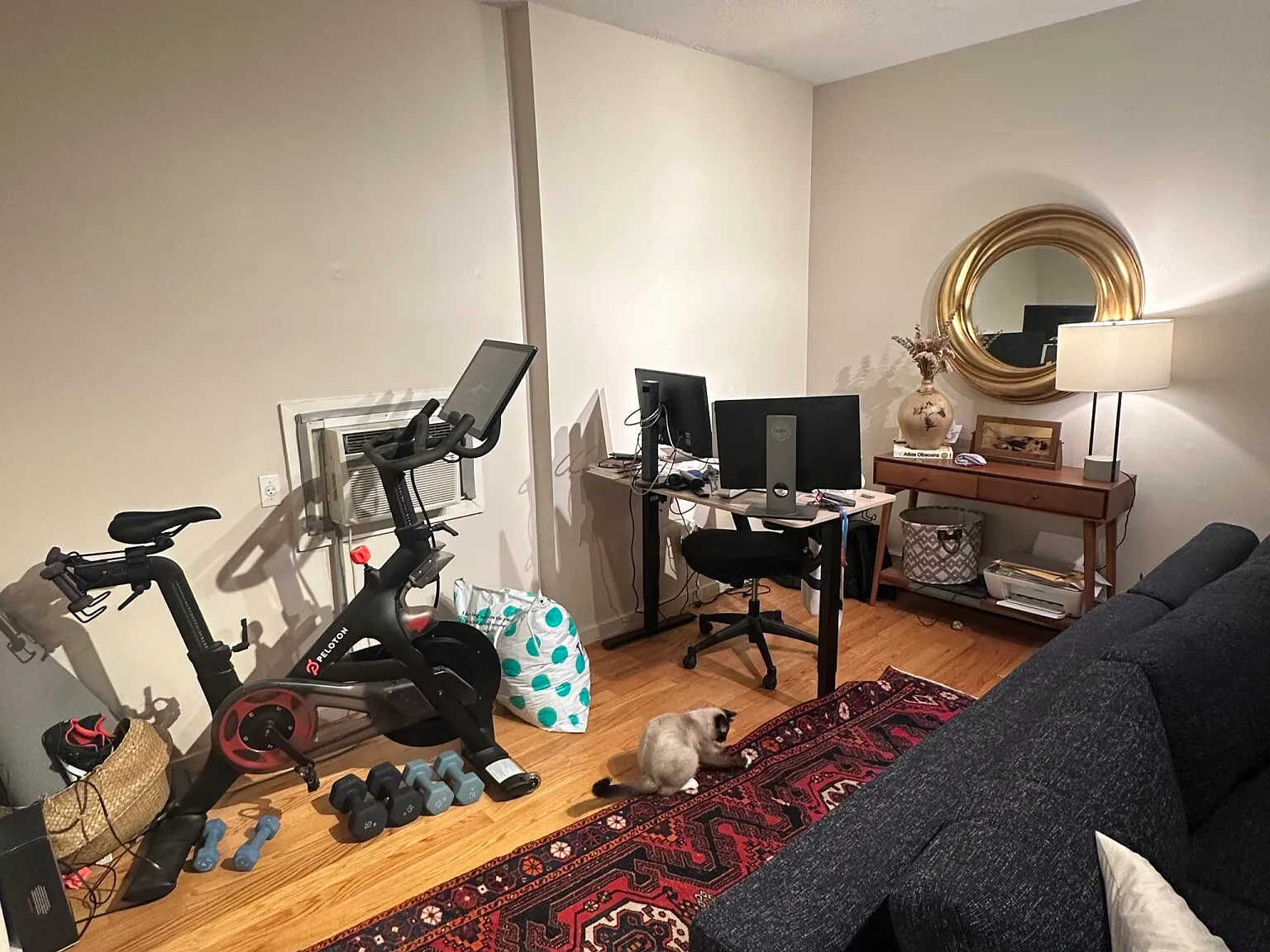 1 bed, 450 sqft, $3,000 — Photo 3