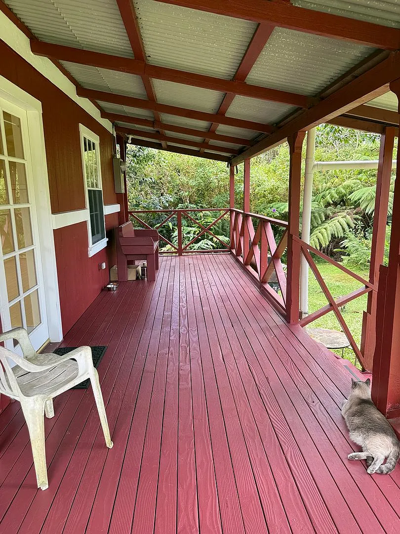 Cozy 2BR/1BA home in Fern Forest — Photo 4