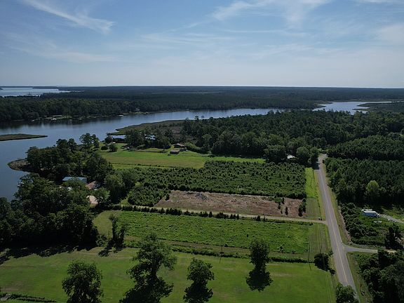 4th image of 413 Alligator Loop Rd Lot Wp002