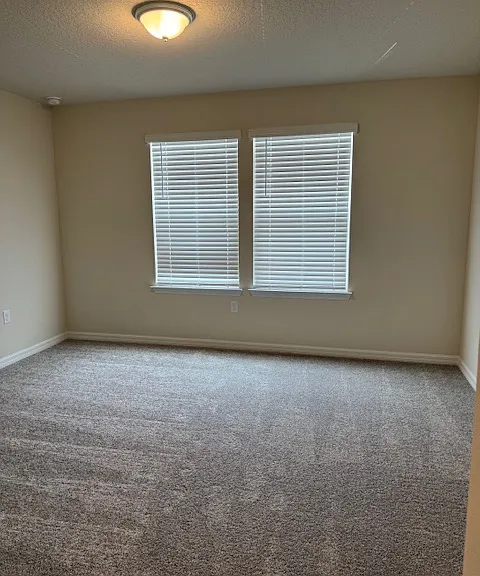92 Violet Vine Ln — Photo 10