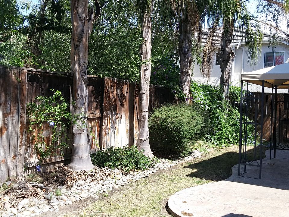 Palms