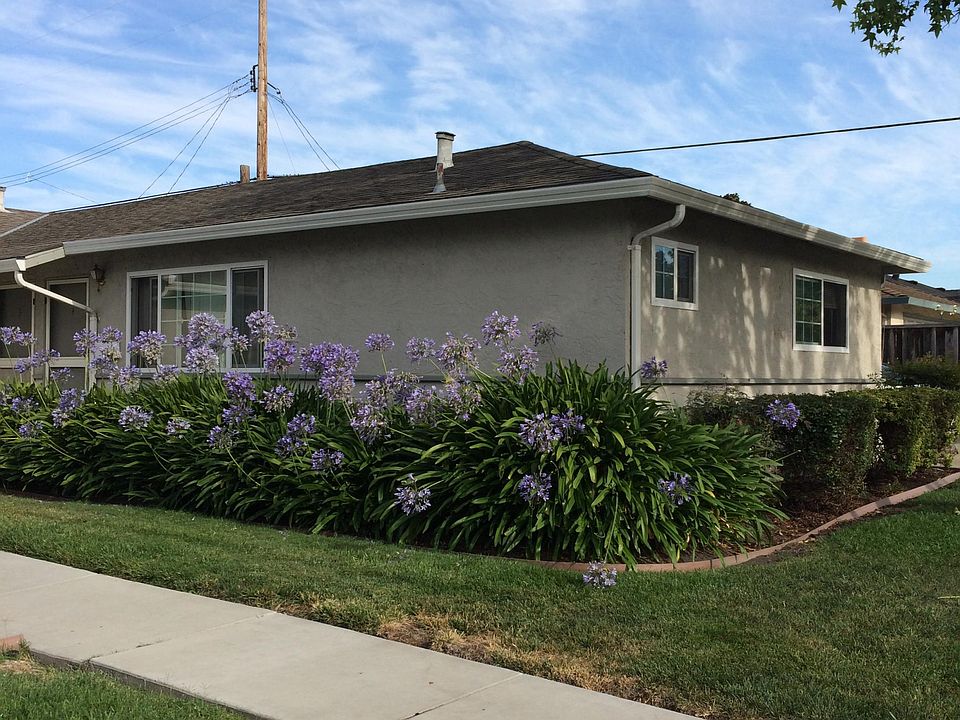 1st image of 2434 Patricia Dr #4