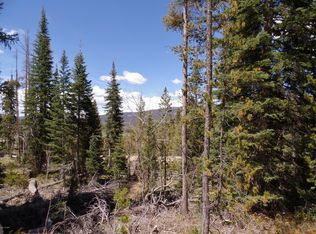 2195 County Road 8, Fraser, CO 80442