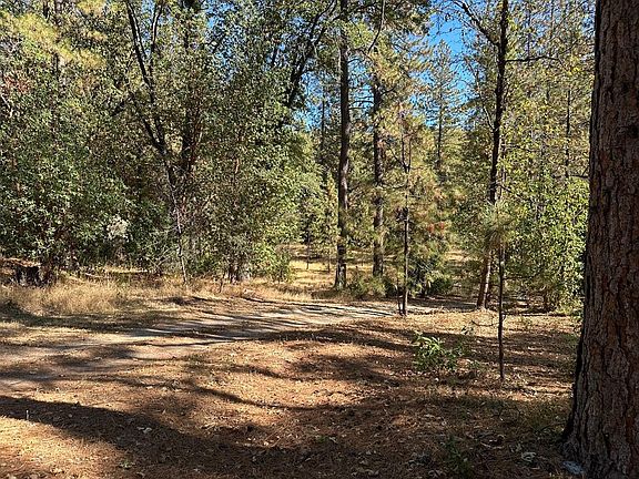 4th image of 14821 Blind Shady Rd