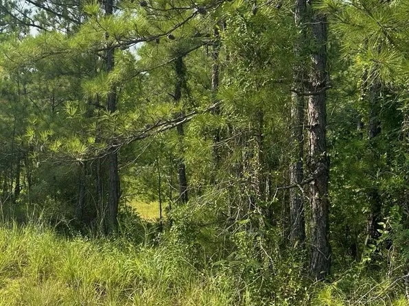 0 County Road 59 #25, Verbena, AL 36091