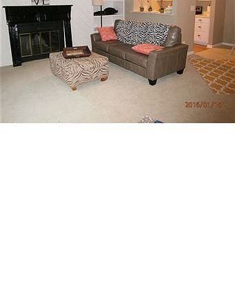 239 Bald Cypress LR 3 24 16