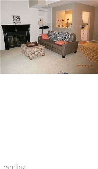 239 Bald Cypress LR 3 24 16