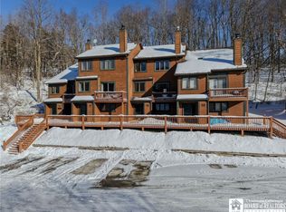 16 Stone Rdg, Ellicottville, NY 14731