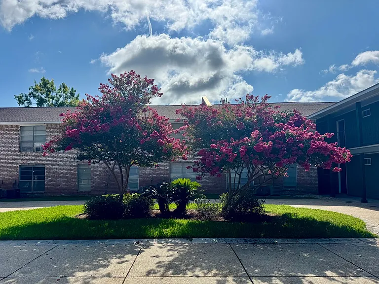 Spanish Oaks — Photo 44
