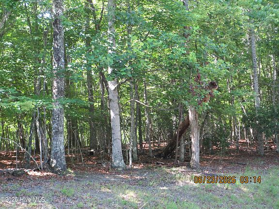 4th image of 8 Quail Cove Cir