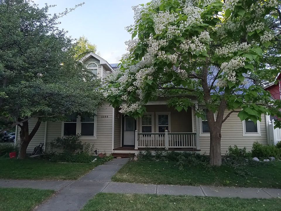 Corner lot with mature trees on all sides.