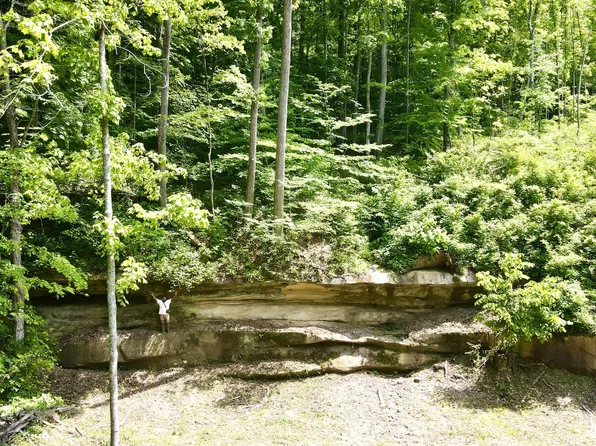34760 Huston Rd Tract 11, Wilkesville, OH 45695