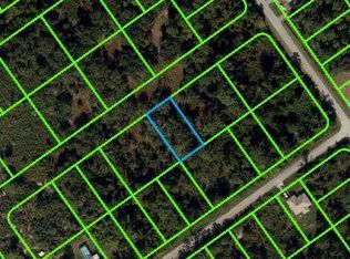1229 Bradley Ave, Lake Placid, FL 33852